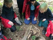 Forest School Fun For Form 2