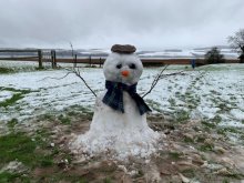 Home Pupils In The Snow