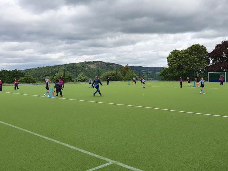 U9 Mixed Cricket v Fettes