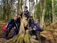 Form 5 Kinnoull Hill Walk