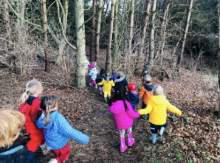 Forest Adventures For Pre-School